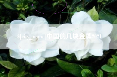 广州中国的几块金牌2021