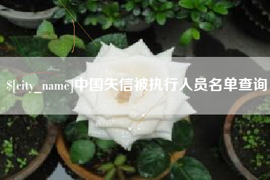 广州中国失信被执行人员名单查询