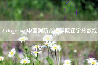 广州中国消防救援学院辽宁分数线