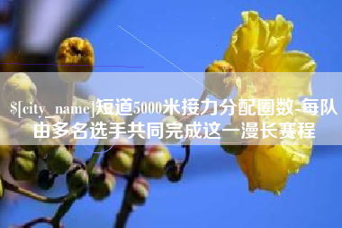 广州短道5000米接力分配圈数-每队由多名选手共同完成这一漫长赛程