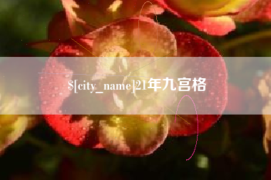广州21年九宫格