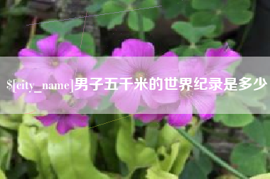 广州男子五千米的世界纪录是多少