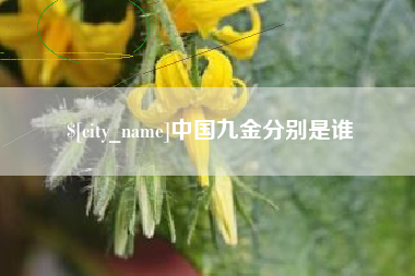 广州中国九金分别是谁