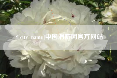 广州中国消防网官方网站