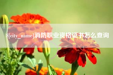 广州消防职业资格证书怎么查询