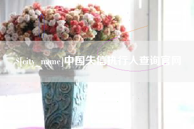 广州中国失信执行人查询官网