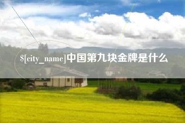 广州中国第九块金牌是什么