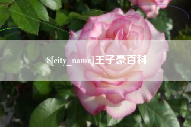 广州王子豪百科