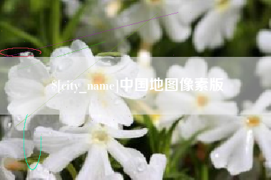 广州中国地图像素版
