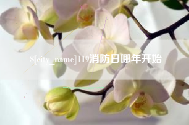 广州119消防日哪年开始