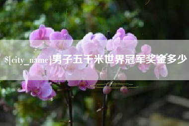 广州男子五千米世界冠军奖金多少