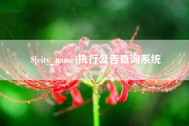 广州执行公告查询系统