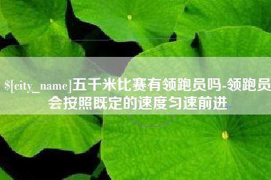 广州五千米比赛有领跑员吗-领跑员会按照既定的速度匀速前进