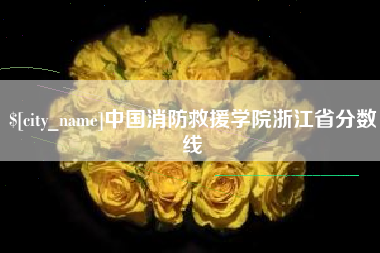 广州中国消防救援学院浙江省分数线