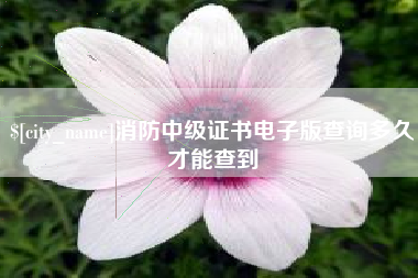 广州消防中级证书电子版查询多久才能查到