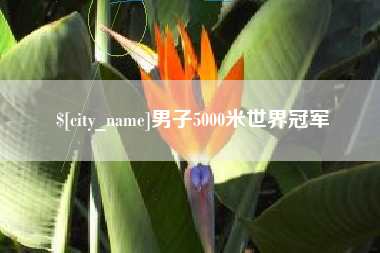 广州男子5000米世界冠军