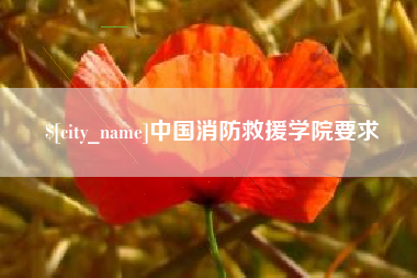 广州中国消防救援学院要求