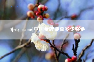 广州中国金牌能拿多少奖金