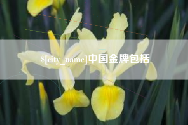 广州中国金牌包括