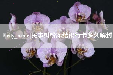 广州民事纠纷冻结银行卡多久解封