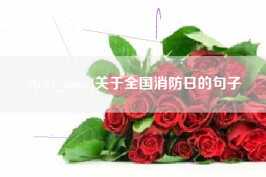 广州关于全国消防日的句子