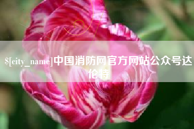 广州中国消防网官方网站公众号达伦特