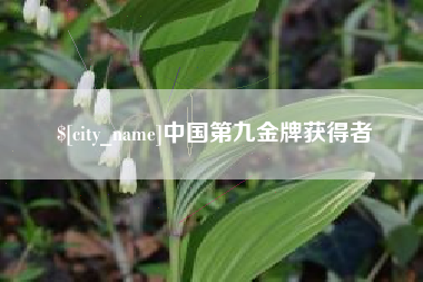 广州中国第九金牌获得者