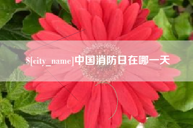 广州中国消防日在哪一天
