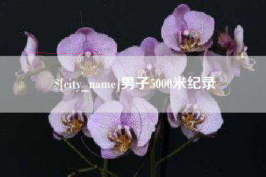 广州男子5000米纪录
