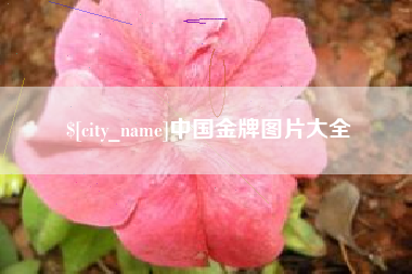 广州中国金牌图片大全