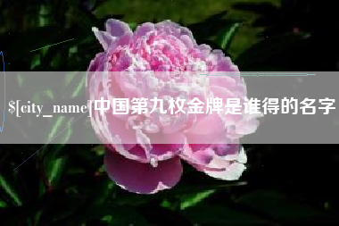 广州中国第九枚金牌是谁得的名字