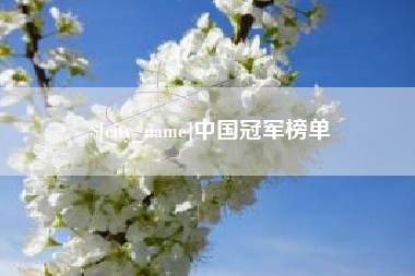 广州中国冠军榜单