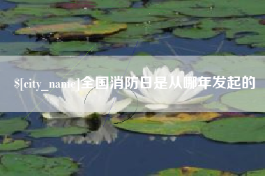 广州全国消防日是从哪年发起的