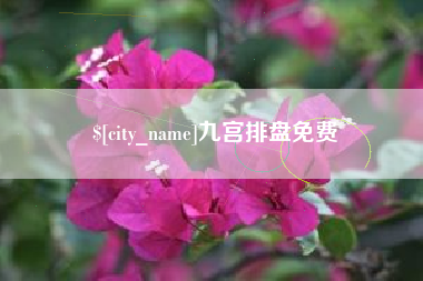 广州九宫排盘免费
