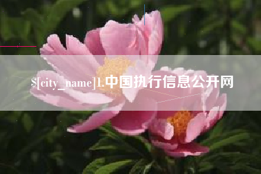 广州1.中国执行信息公开网