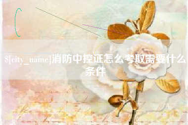广州消防中控证怎么考取需要什么条件
