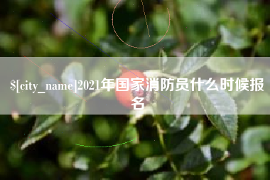 广州2021年国家消防员什么时候报名