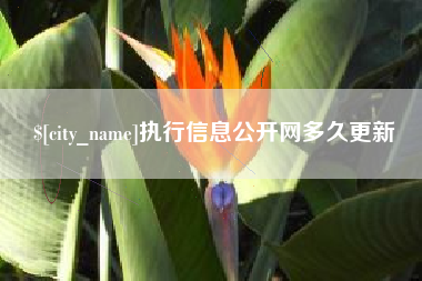 广州执行信息公开网多久更新