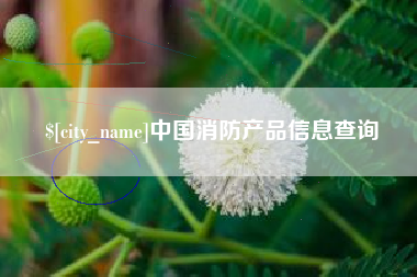 广州中国消防产品信息查询
