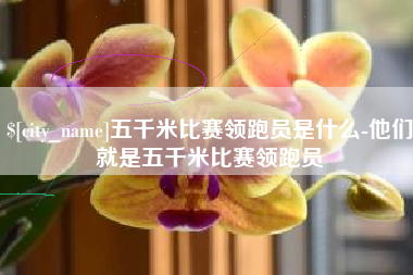 广州五千米比赛领跑员是什么-他们就是五千米比赛领跑员