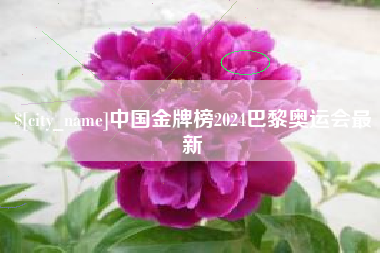 广州中国金牌榜2024巴黎奥运会最新