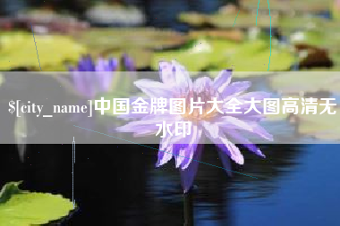 广州中国金牌图片大全大图高清无水印