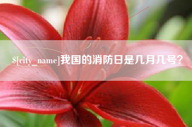 广州我国的消防日是几月几号？