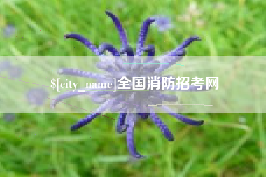 广州全国消防招考网