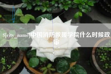 广州中国消防救援学院什么时候政审