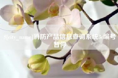 广州消防产品信息查询系统3c编号暂停