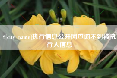 广州执行信息公开网查询不到被执行人信息