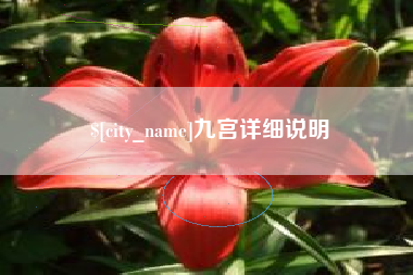 广州九宫详细说明