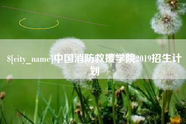 广州中国消防救援学院2019招生计划
