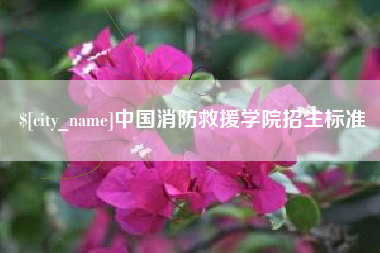 广州中国消防救援学院招生标准